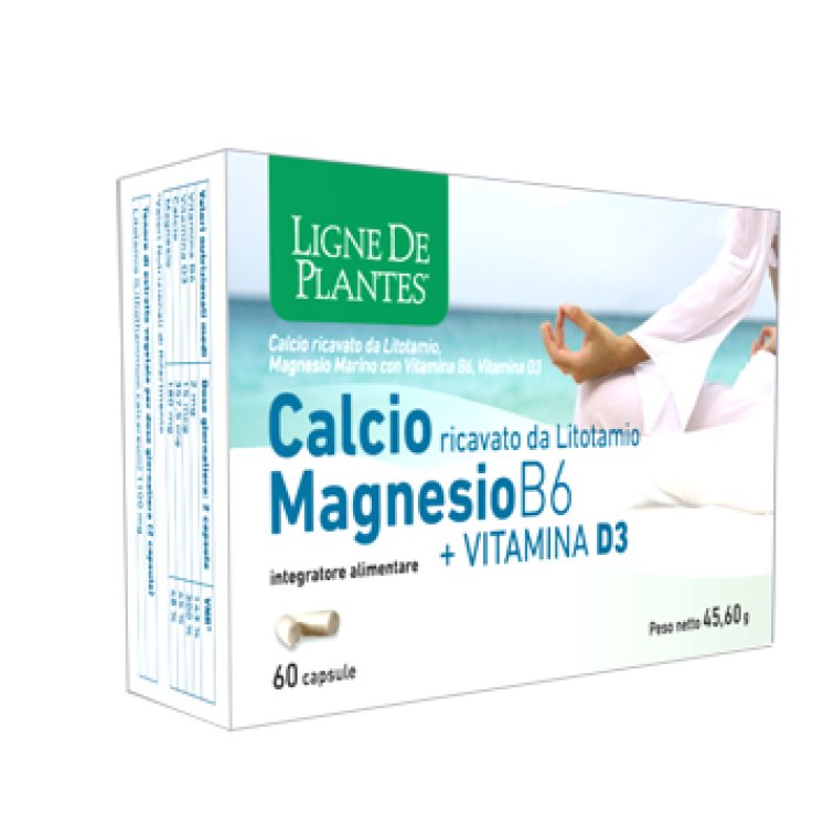 Calcio+magnesio B6+vitd3 60cps Calcio+magnesio B6+vitd3 60cps
