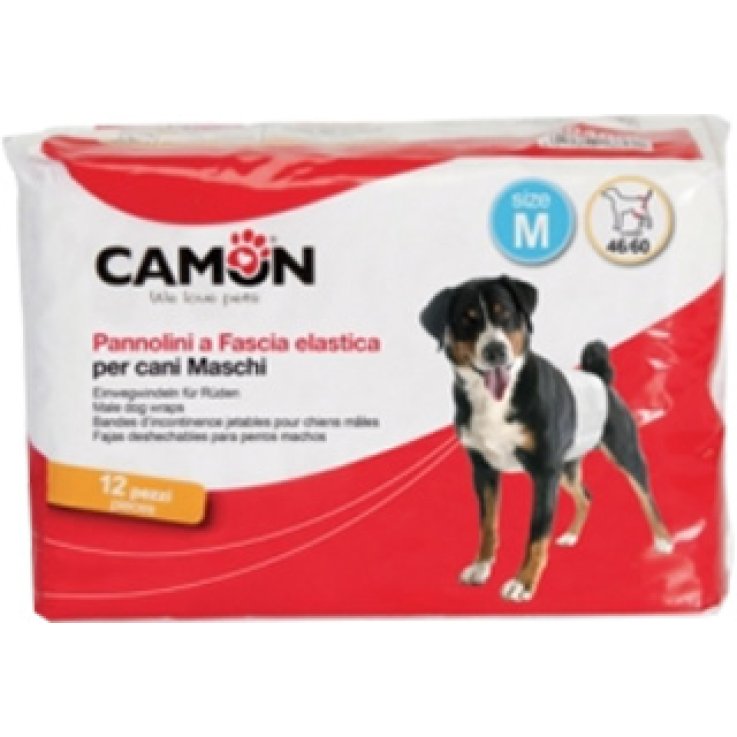 PANNOLINI FASC CANI MASC 1 12P PANNOLINI FASC CANI MASC 1 12P