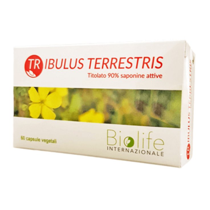 Tribulus Terrestris 60cps Tribulus Terrestris 60cps