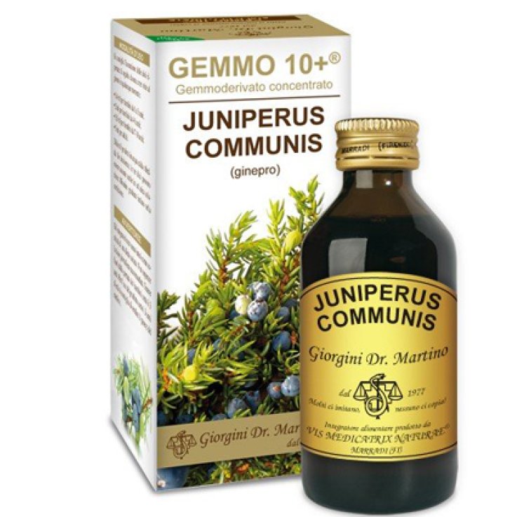 Ginepro 100ml Analco Gemmo 10+