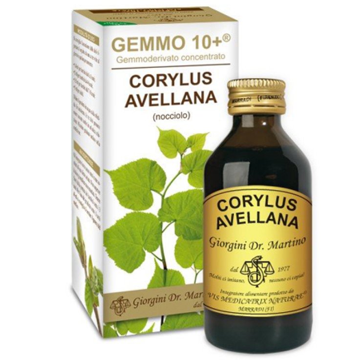 Nocciolo 100ml Analco Gem 10+
