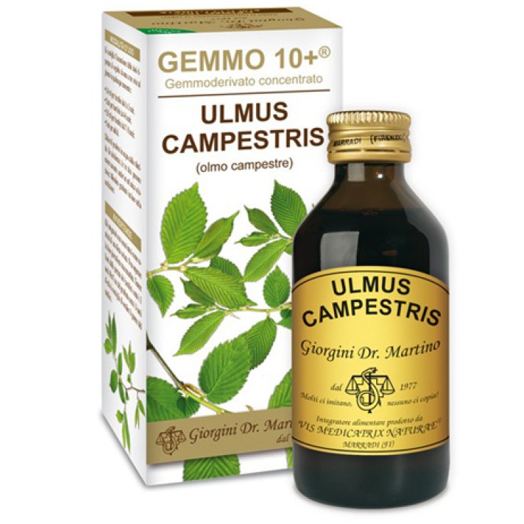 Olmo Camp 100ml Analco Gemm10+ Olmo Camp 100ml Analco Gemm10+