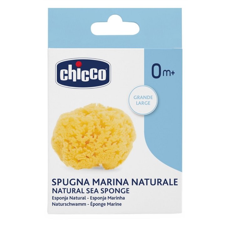 Ch Spugna Grande Igiene Sicura Ch Spugna Grande Igiene Sicura