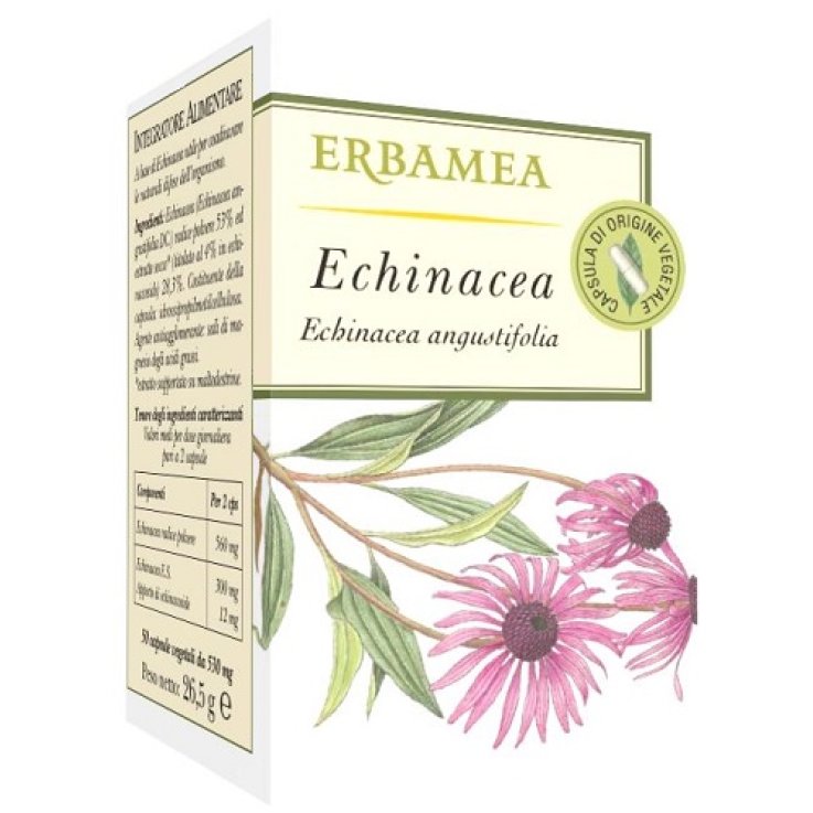 Echinacea 50cps Veg Echinacea 50cps Veg