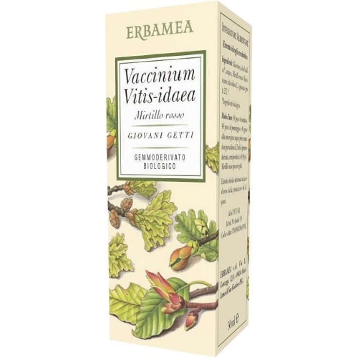 Vaccinium Vitis Idaea Bio 50ml