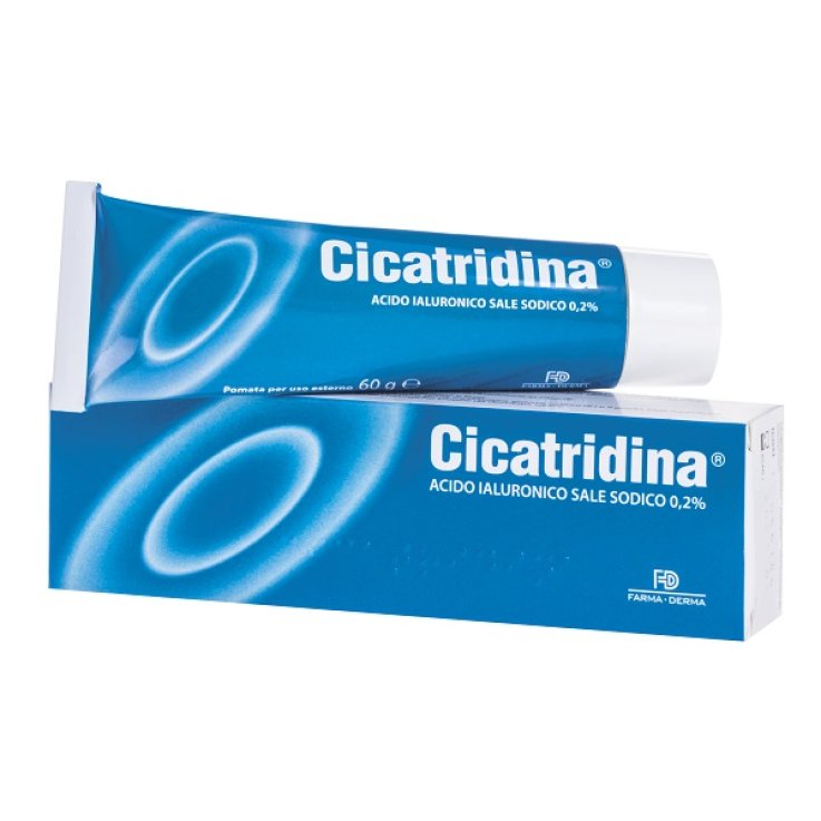 Cicatridina Pomata 60g Cicatridina Pomata 60g