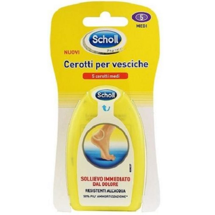 SCHOLL CER VESCICHE MEDIO SCHOLL CER VESCICHE MEDIO
