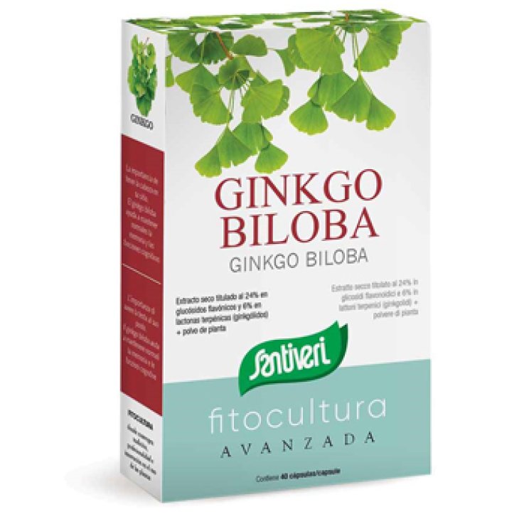 Ginkgo Biloba 40cps Ginkgo Biloba 40cps