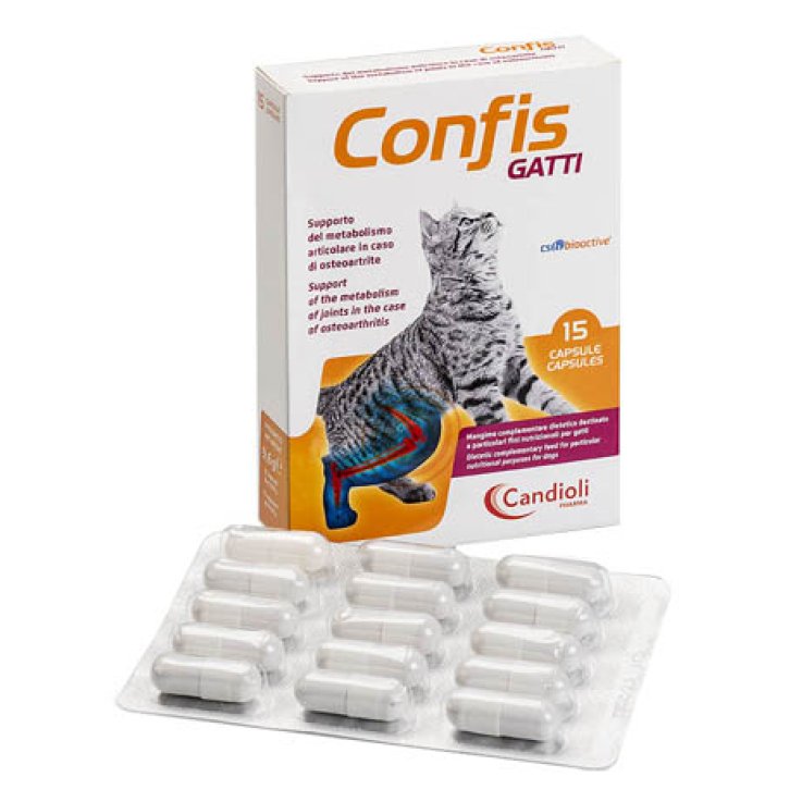 Confis Gatti 15cps Confis Gatti 15cps