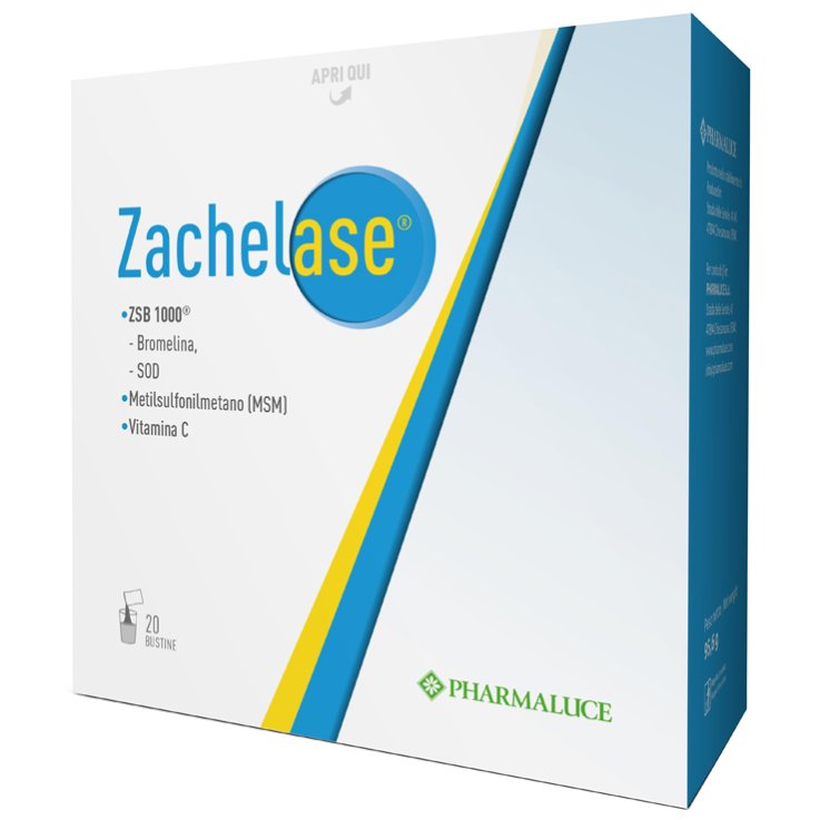 Zachelase 20bust Zachelase 20bust