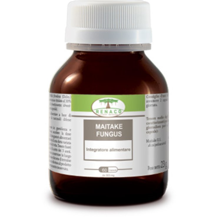 Maitake Fungus 60cps Maitake Fungus 60cps
