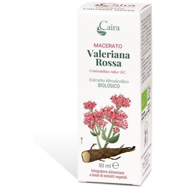 Valeriana Rossa Macerato Caira Valeriana Rossa Macerato Caira