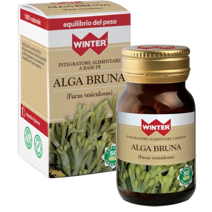 Winter Alga Bruna 50cps Veg Winter Alga Bruna 50cps Veg