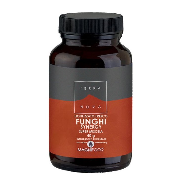 FUNGHI SYNERGY 50CPS VEG TERRA FUNGHI SYNERGY 50CPS VEG TERRA