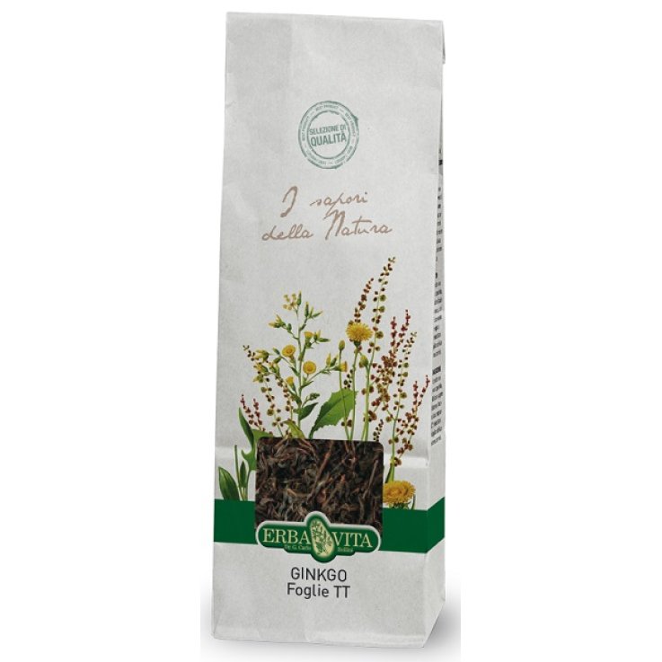 GINKGO BILOBA TT FOGLIE 100G GINKGO BILOBA TT FOGLIE 100G