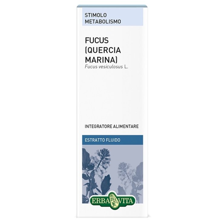FUCUS QUERCIA MARINA ESTR FL50 FUCUS QUERCIA MARINA ESTR FL50