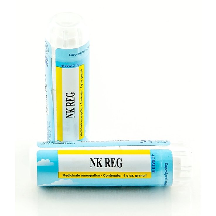 Nk Reg Gr 4g Nk Reg Gr 4g