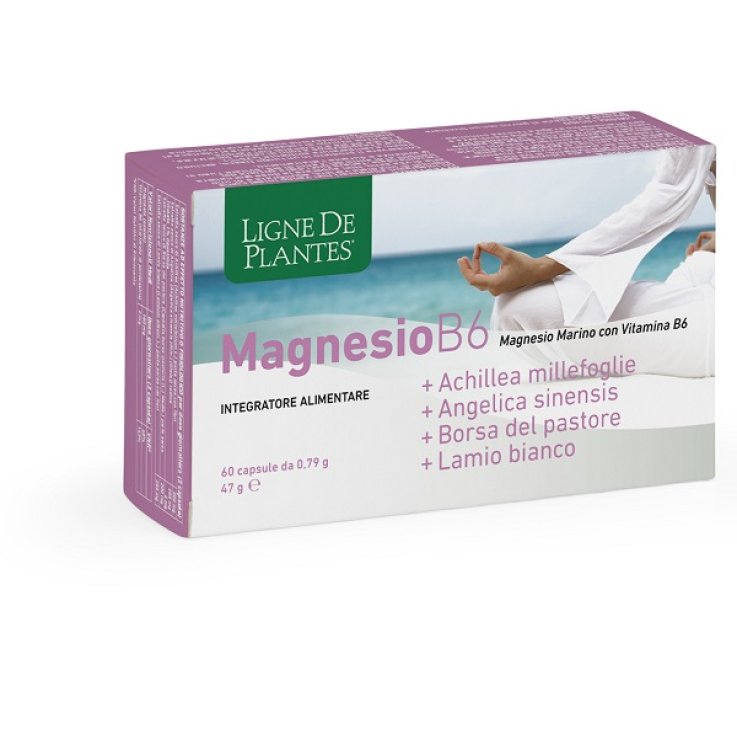 MAGNESIO B6+ACHILLEA+ANGELICA+ MAGNESIO B6+ACHILLEA+ANGELICA+