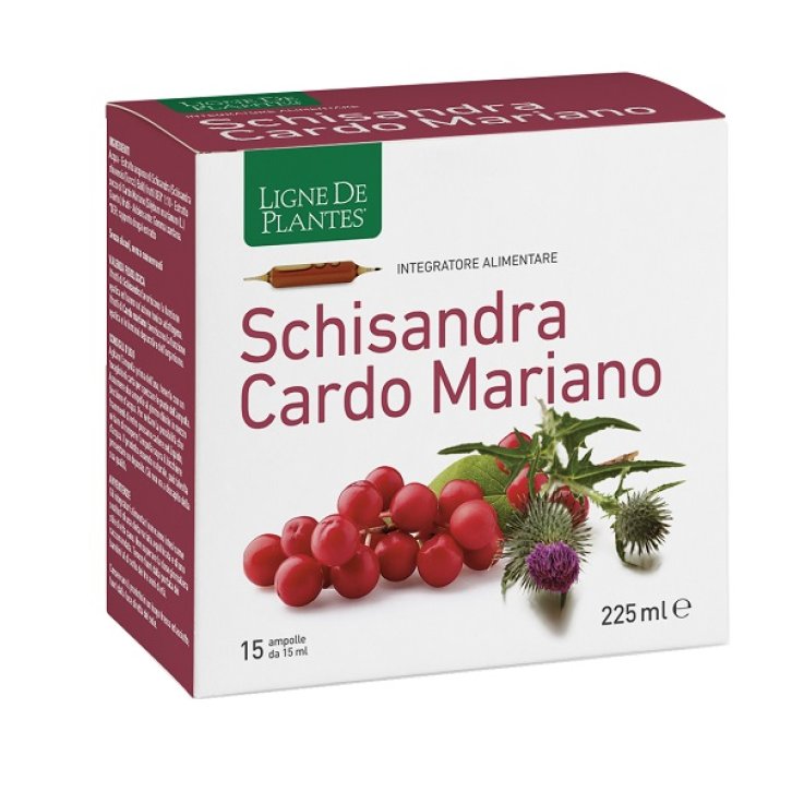 SCHISANDRA CARDO MARIANO 15AMP SCHISANDRA CARDO MARIANO 15AMP