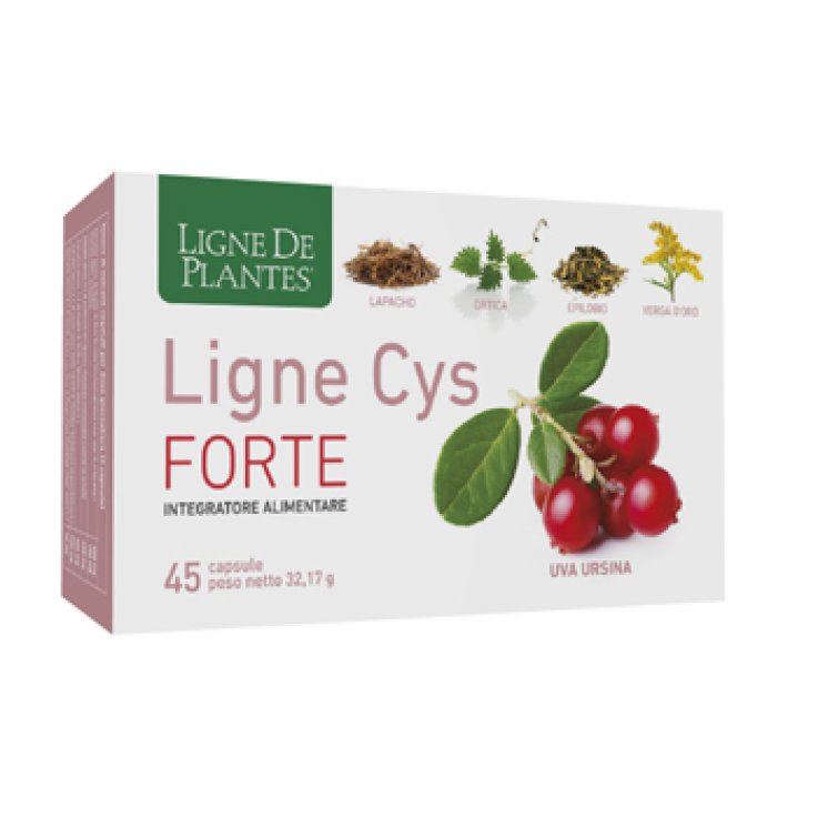Ligne Cys Forte 45cps Ligne Cys Forte 45cps
