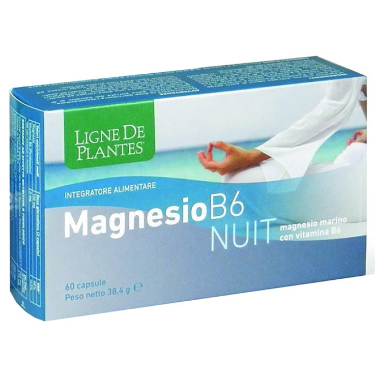 Magnesio B6 Nuit 60cps Magnesio B6 Nuit 60cps
