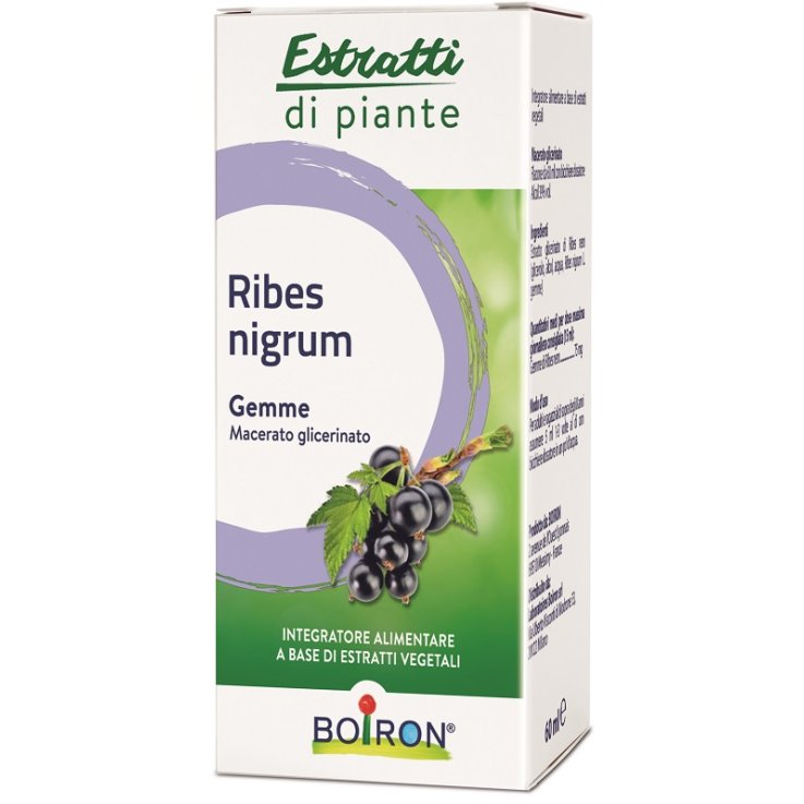 Ribes Nigrum Boiron Mg 60ml Ribes Nigrum Boiron Mg 60ml