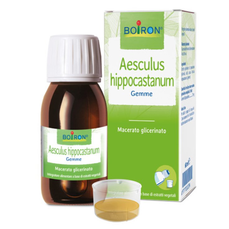 Aesculus Hipp Boiron Mg 60ml