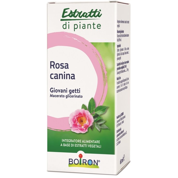Rosa Canina Boiron Mg 60ml Rosa Canina Boiron Mg 60ml