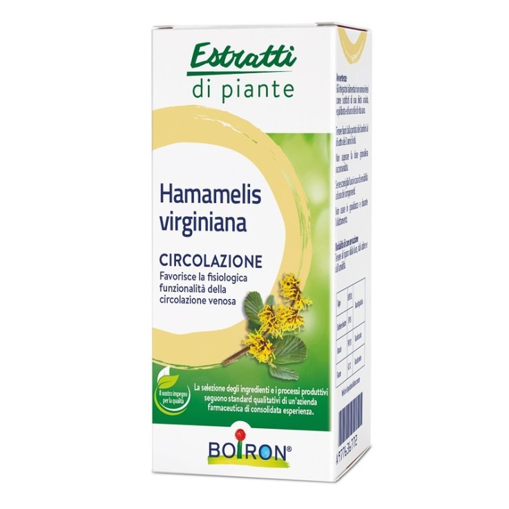 Hamamelis Boiron Ei 60ml