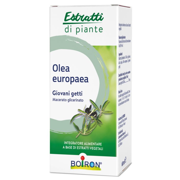 Olea Europaea Boiron Mg 60ml Olea Europaea Boiron Mg 60ml
