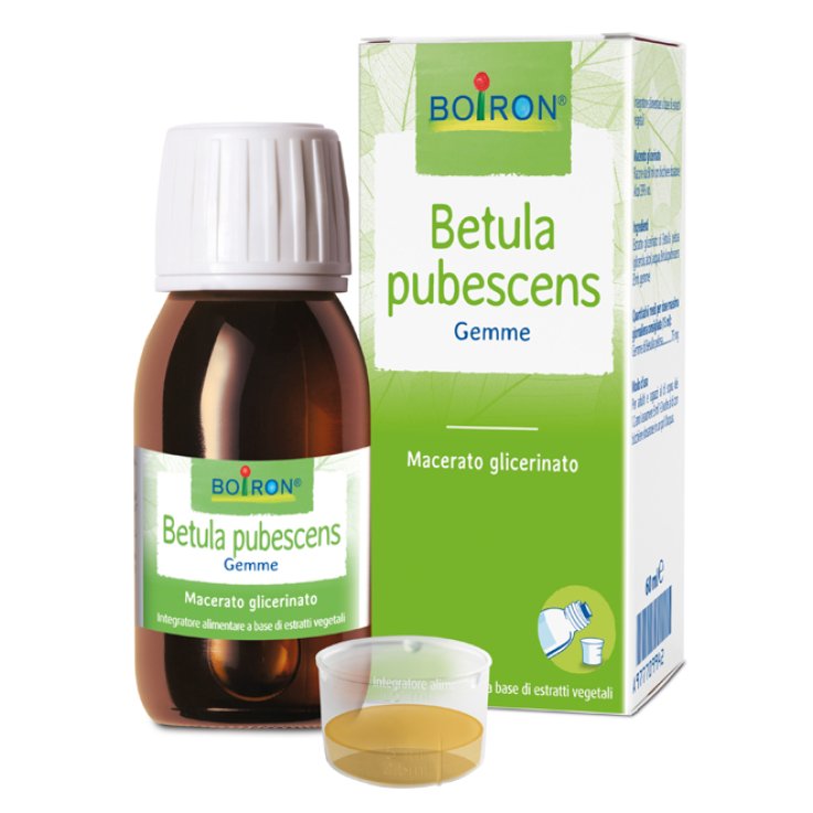 BETULA PUBESCENS MG 60ML INT BETULA PUBESCENS MG 60ML INT
