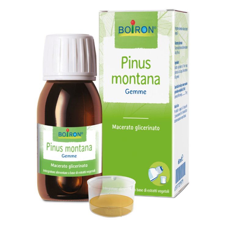Pinus Montana Boiron Mg 60ml Pinus Montana Boiron Mg 60ml
