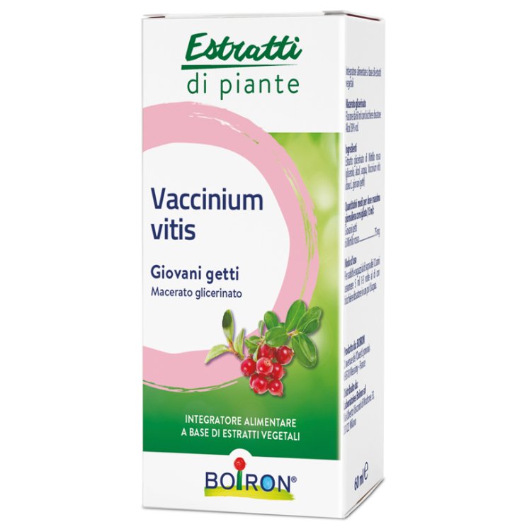 Vaccinium Vitis Mg 60ml Vaccinium Vitis Mg 60ml