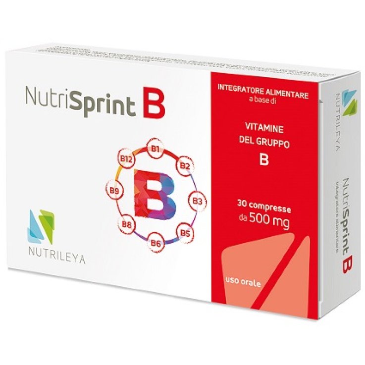 NUTRISPRINT B 30CPR NUTRISPRINT B 30CPR