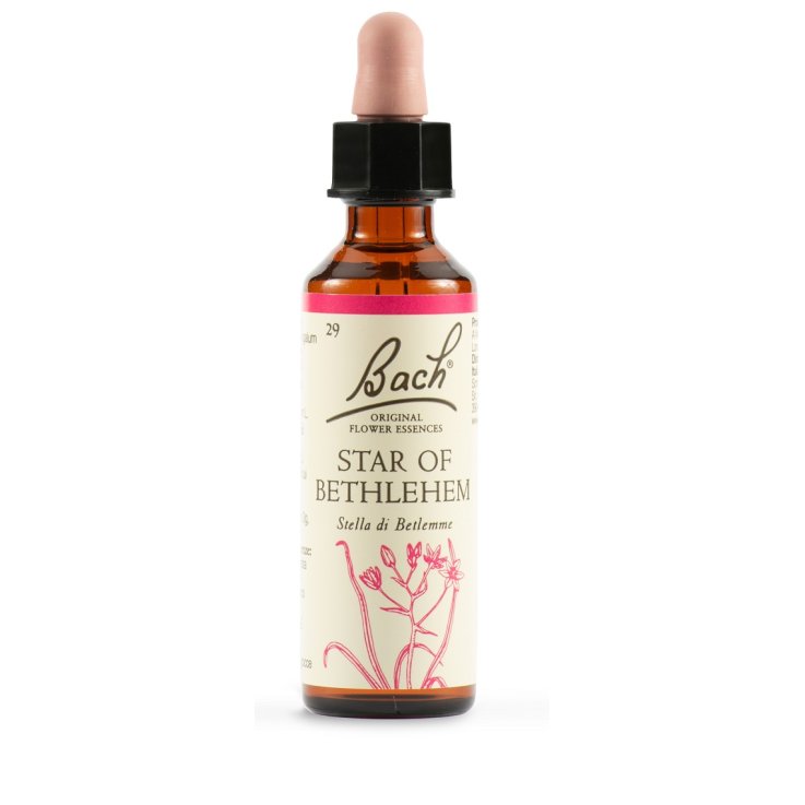 Star Of Bethl Orig 20ml Star Of Bethl Orig 20ml