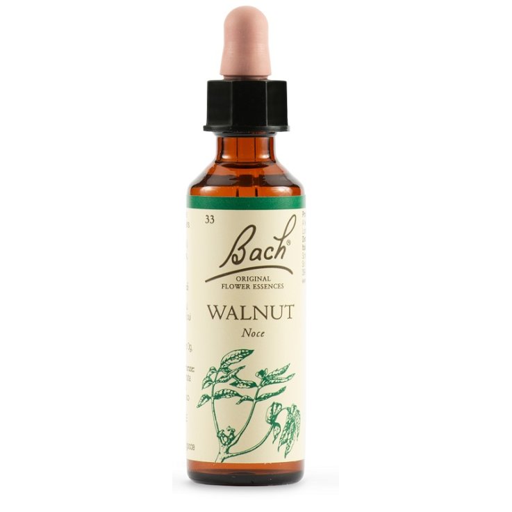 Walnut Bach Orig 20ml Walnut Bach Orig 20ml