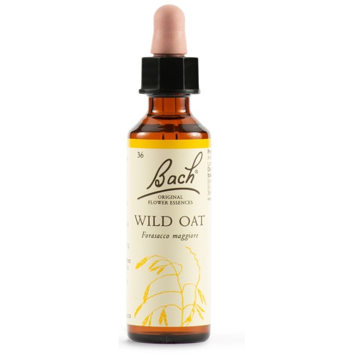 Wild Oat Bach Orig 20ml Wild Oat Bach Orig 20ml