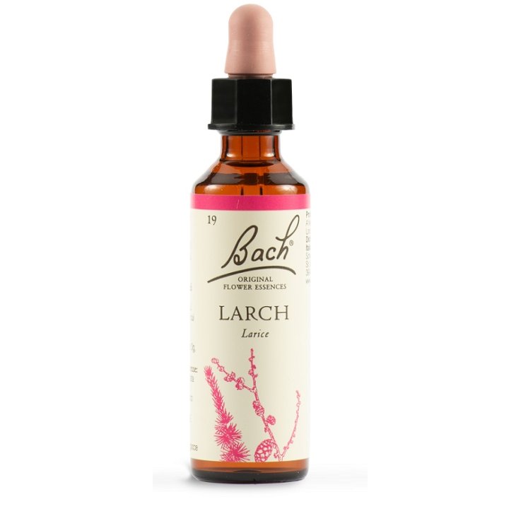 LARCH BACH ORIG 20ML LARCH BACH ORIG 20ML