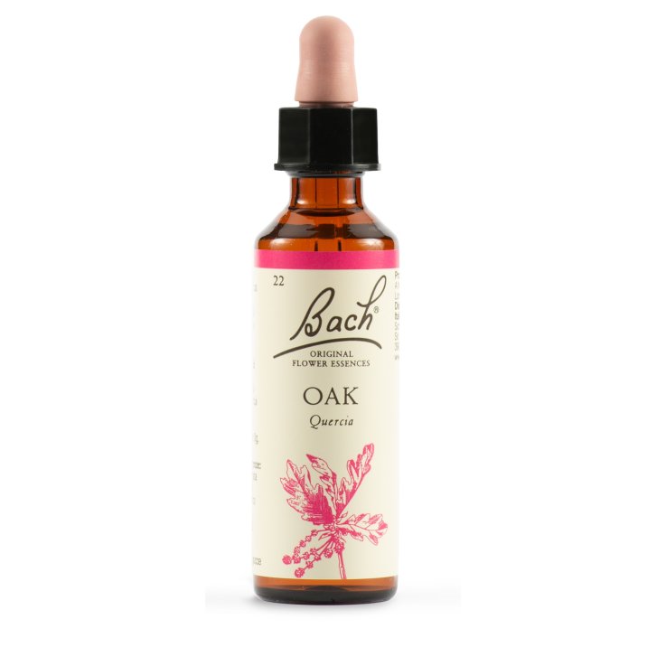 OAK BACH ORIG 20ML OAK BACH ORIG 20ML
