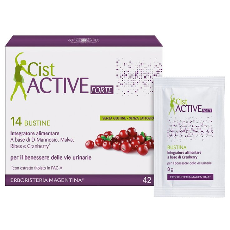 CIST ACTIVE BUSTINE 14BUST