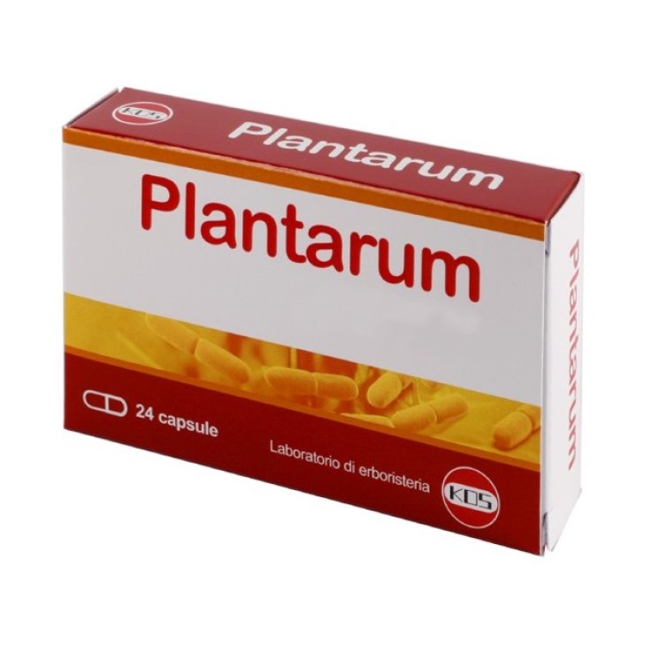 Plantarum 10mld 24cps Plantarum 10mld 24cps