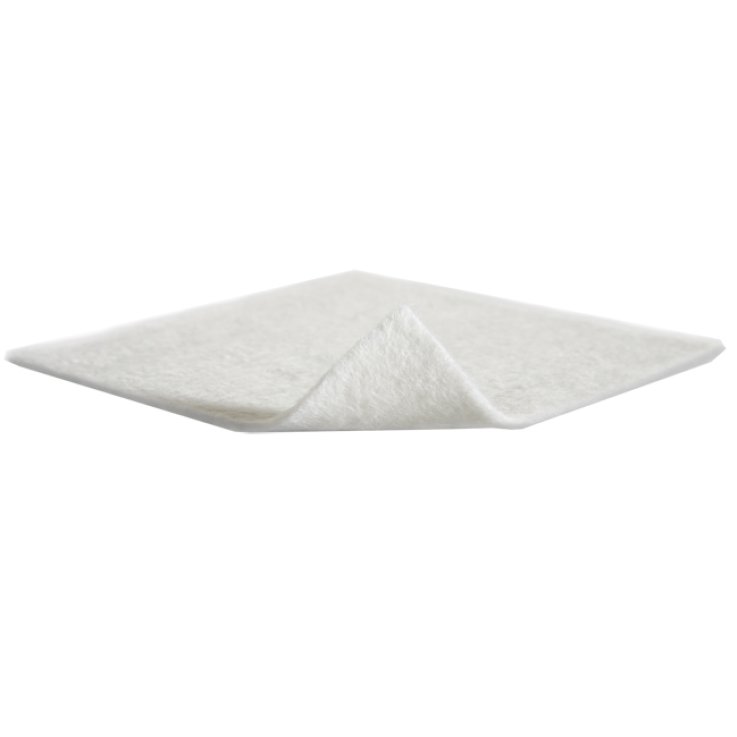 Melgisorb Ag Medicazione 10x10