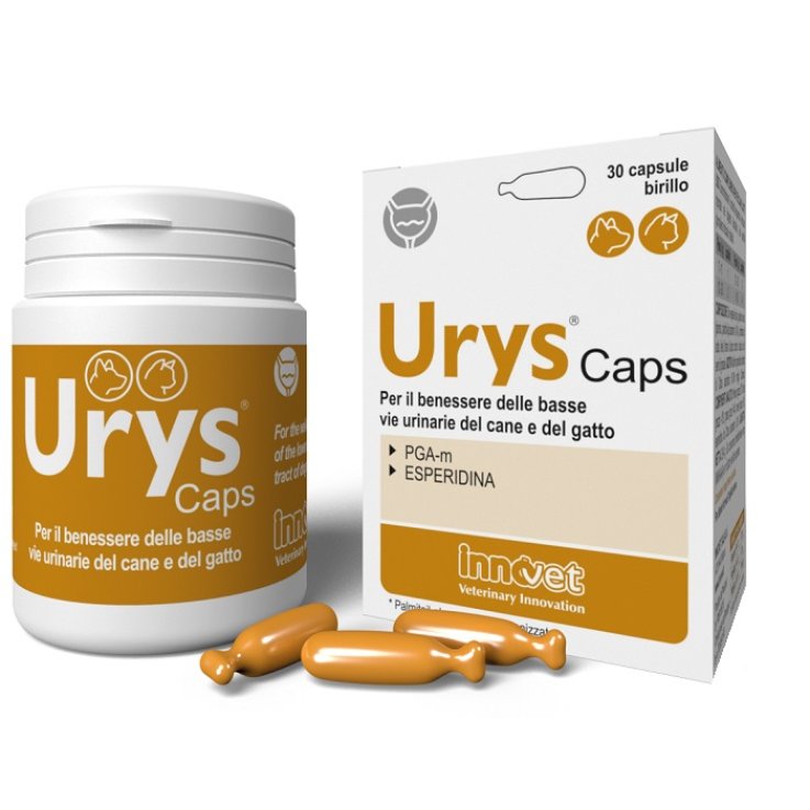 Urys Caps 30cps
