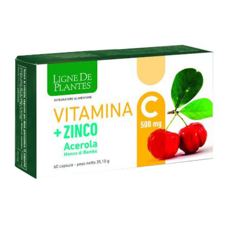 Vitamina C 500mg+zi/ac/ba60cps Vitamina C 500mg+zi/ac/ba60cps
