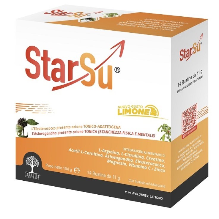 Starsu' 14bust Starsu' 14bust