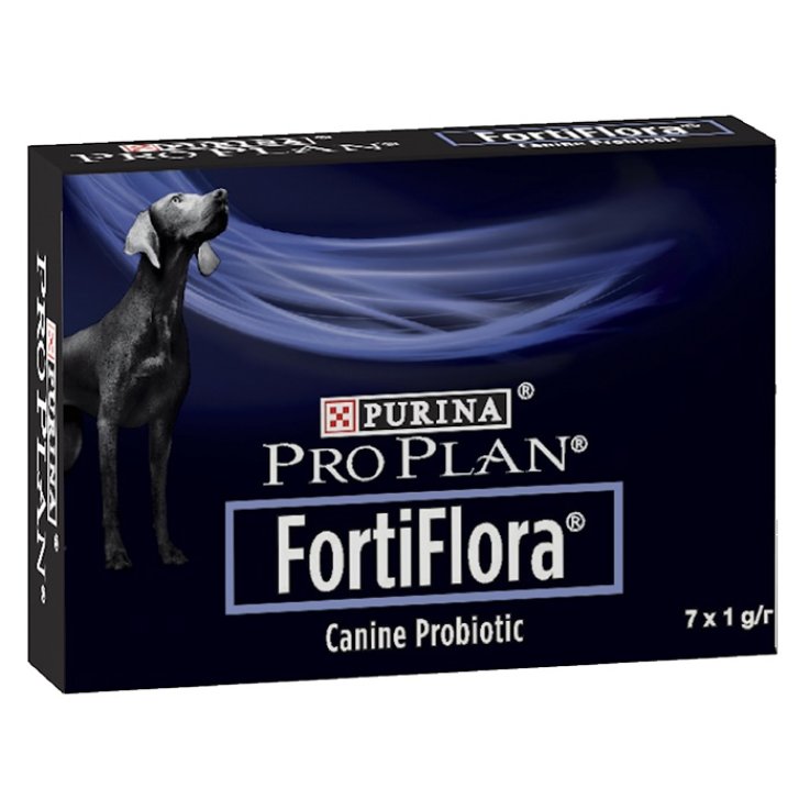 Pp Fortiflora Cane Orig 7bust
