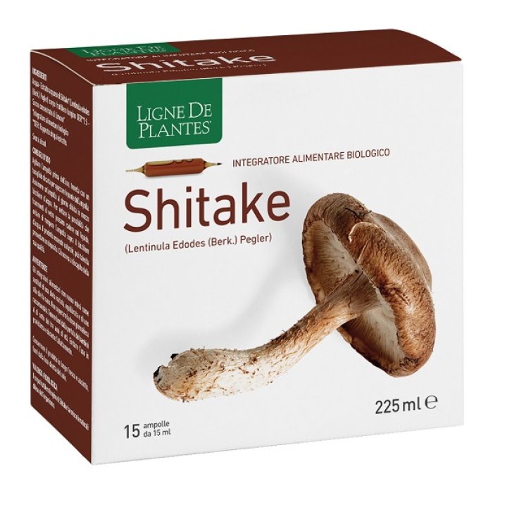 Ligne Shitake Bio 15amp 15ml Ligne Shitake Bio 15amp 15ml