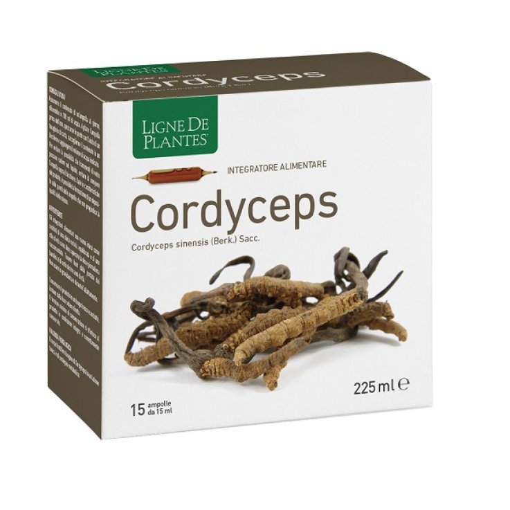 CORDYCEPS 15AB 15ML CORDYCEPS 15AB 15ML