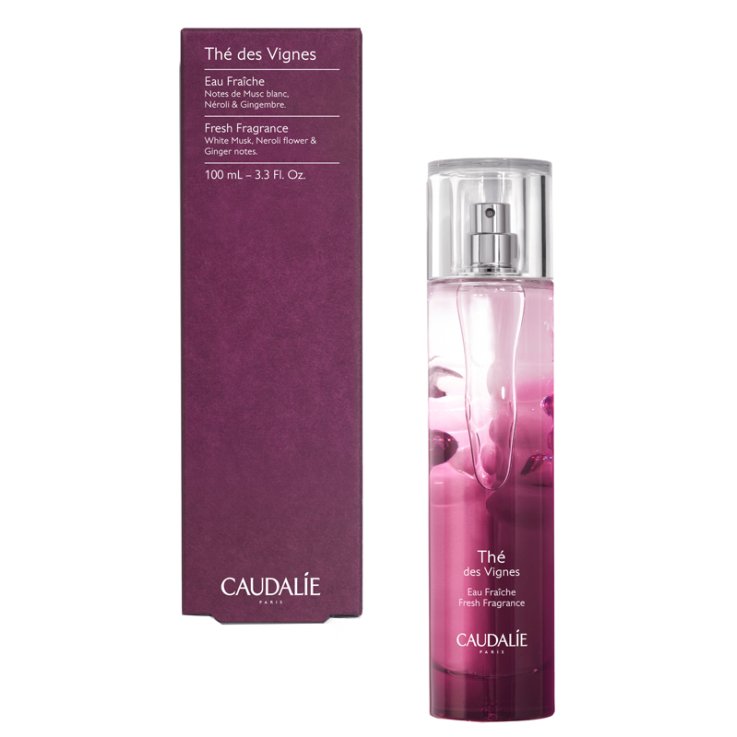 Tdv Acqua Fresca 100ml Tdv Acqua Fresca 100ml
