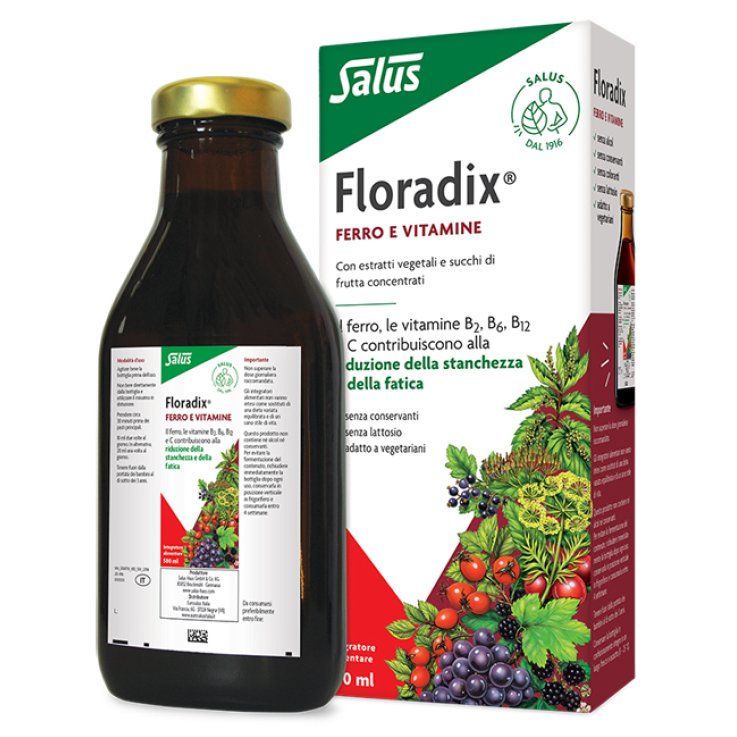 Floradix 500ml Floradix 500ml